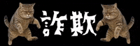 mgtne cat warning alert ねこ GIF