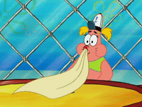 season 4 GIF by SpongeBob SquarePants