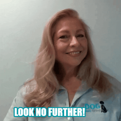 Look No Further GIF by Marinette DOG Nanny
