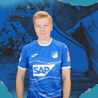 Fussball GIF by TSG Hoffenheim