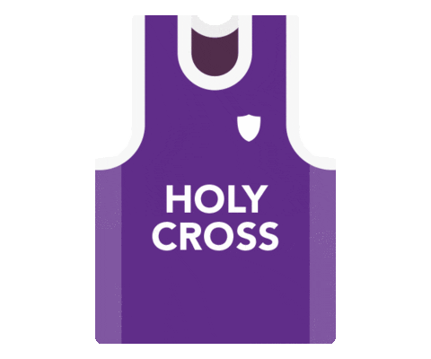 Holy Cross Athletics Sticker by College of the Holy Cross