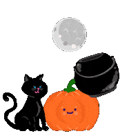 Trick Or Treat Cat Sticker