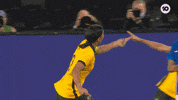 Sport Win GIF by Football Australia