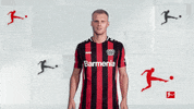 Bayer 04 What GIF by Bundesliga
