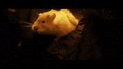 Dnd Boo GIF by Dungeons & Dragons