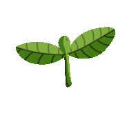 Flower Grow Sticker