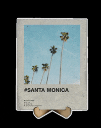 freakplate polaroid palm GIF