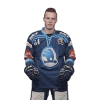 Hockey Thumbs Up Sticker by HC Škoda Plzeň