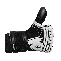 Ks V6 Sticker by KEEPERsport