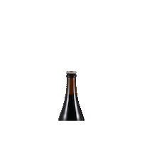 Red Ale Beer Sticker by Pivovar Muflon