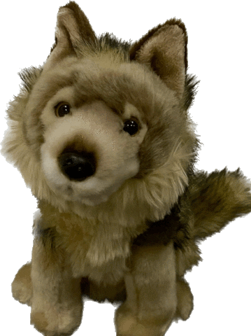 Wwv Walter Sticker by Westerwald Volleys