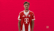Fc Bayern Football GIF by Bundesliga