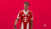 Fc Bayern Football GIF by Bundesliga