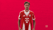 Fc Bayern Football GIF by Bundesliga