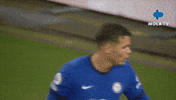 Premier League Football GIF by MolaTV