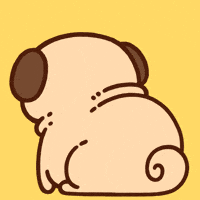 Shock Say What GIF by Puglie Pug