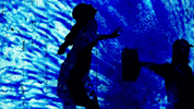 Dissolve GIF by The Chemical Brothers