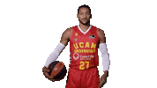 Liga Endesa Basketball Sticker by ACB