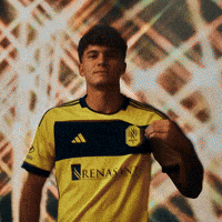 Soccer Futbol GIF by Nashville SC