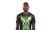 Josuha Guilavogui Instagram Sticker by VfL Wolfsburg