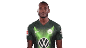 Josuha Guilavogui Instagram Sticker by VfL Wolfsburg