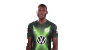 Josuha Guilavogui Instagram Sticker by VfL Wolfsburg