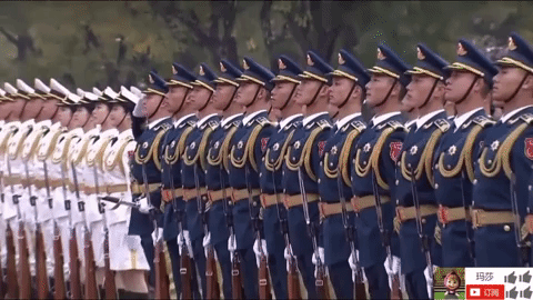 zheng zhi GIF