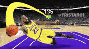 Lebron James Basketball GIF