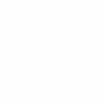 Enlight_Studies enlight մայրենի ոսկեղենիկ GIF