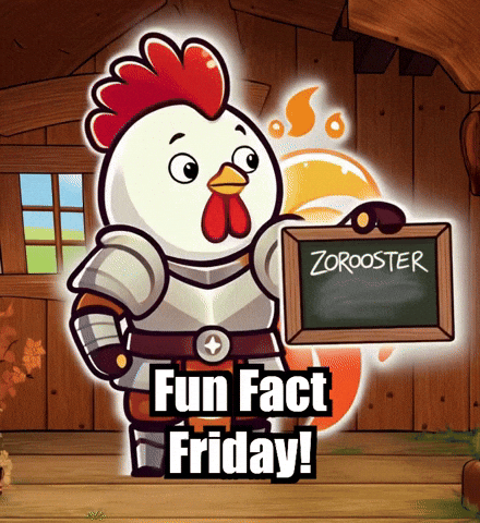 Education Facts GIF by Zorooster