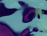 Carnaval GIF by Mirror