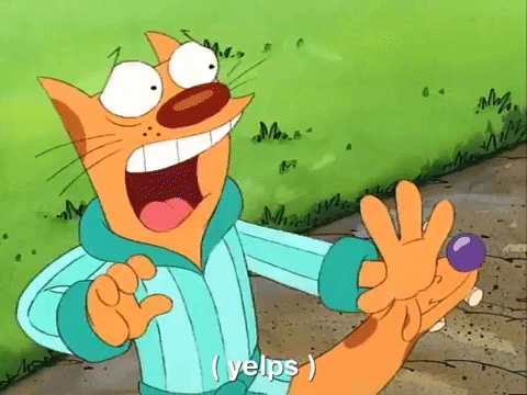 nicksplat GIF