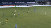 GIF by FOX Sports