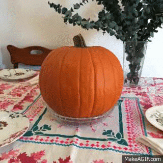 pumpkin pie GIF