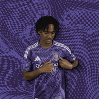 Mls Crest GIF by Orlando City SC