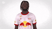 Red Bull Football GIF by FC Red Bull Salzburg