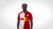 Waiting GIF by FC Red Bull Salzburg