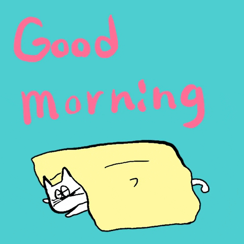 Digital illustration gif. Cartoon white cat with close-together eyes sits up from under a yellow blanket to look at us with a cute expression. Text, "Good morning."