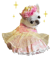 Party Dog Sticker