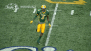 north dakota state football GIF by NDSU Athletics
