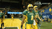 north dakota state football GIF by NDSU Athletics