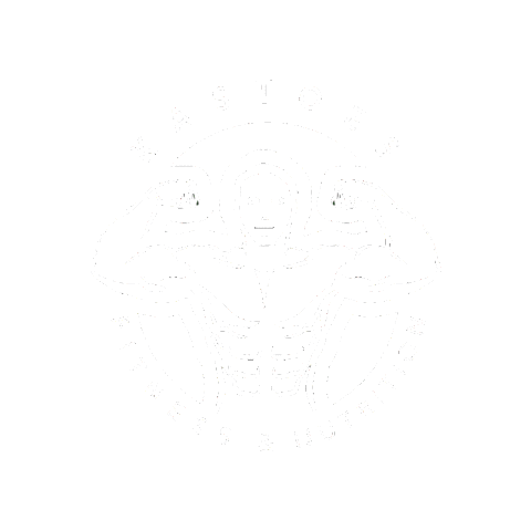 kastoes giphygifmaker kastoes Sticker