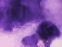 prince GIF