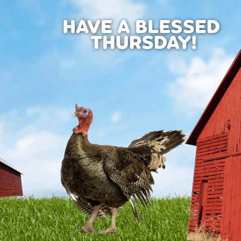 Have A Blessed Thursday!
