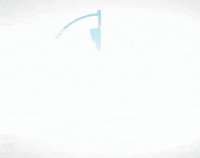 istanbuldoga travel nature walking adventure GIF