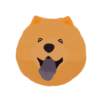 Dog Pomeranian Sticker