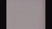 mother's day art GIF by MFD