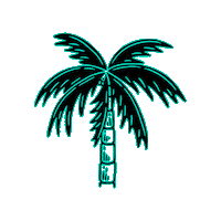 SurfariSurfShop surf palmtree palme surfrai Sticker