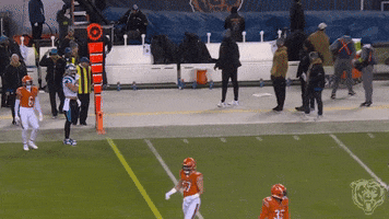Nfl GIF by Chicago Bears