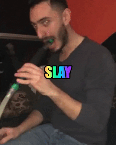 moealid5f3 giphygifmaker GIF